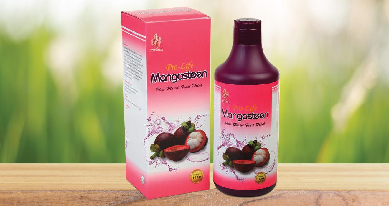 Pro-life Mangosteen Plus Mixed Fruit Drink